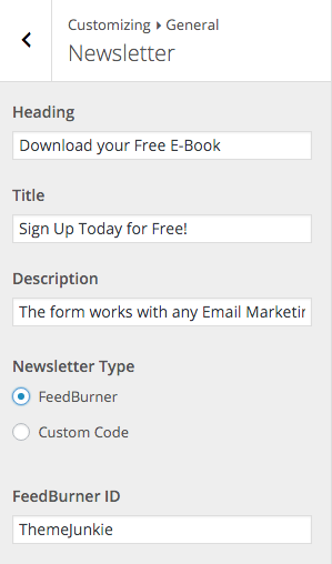 Beginner Customizer Newsletter FeedBurner